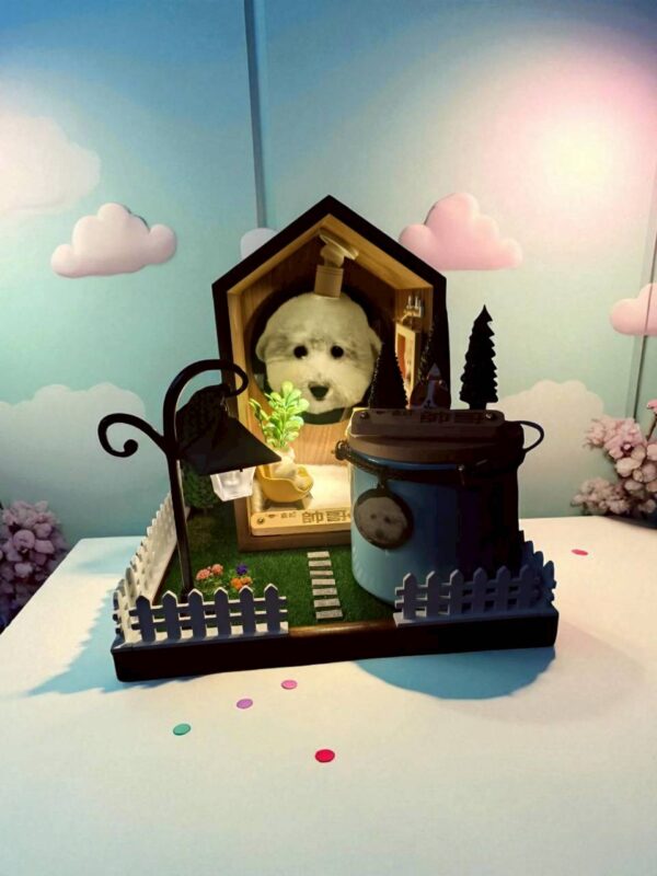 花園小屋骨灰罐紀念套組04 花園小屋骨灰罐紀念套組