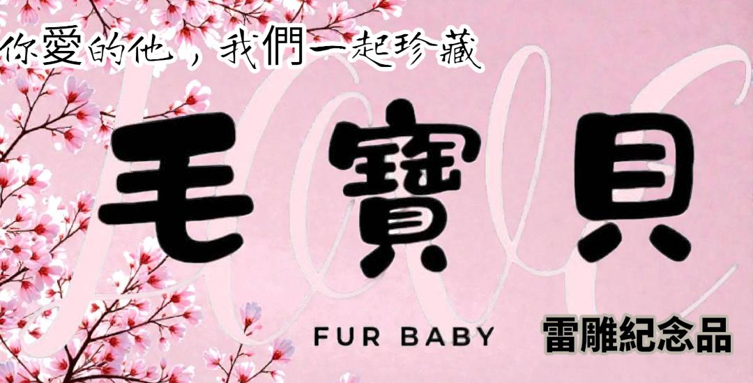 毛寶貝