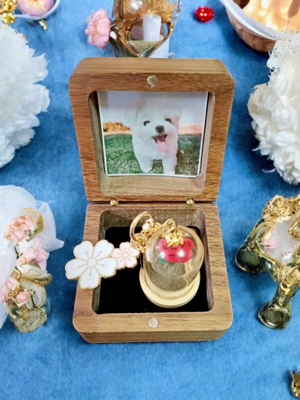 毛寶回憶盒｜毛髮款