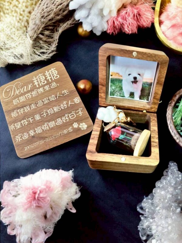 毛寶回憶盒｜毛髮款