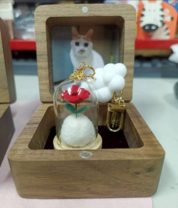 毛寶回憶盒｜毛髮款