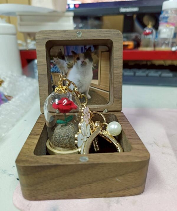 毛寶回憶盒｜毛髮款