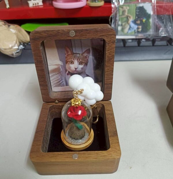 毛寶回憶盒｜毛髮款