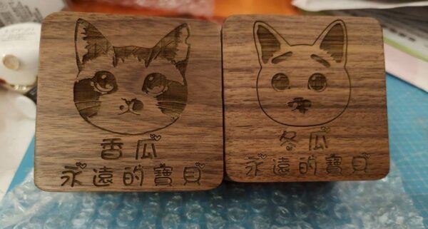 毛寶回憶盒｜毛髮款