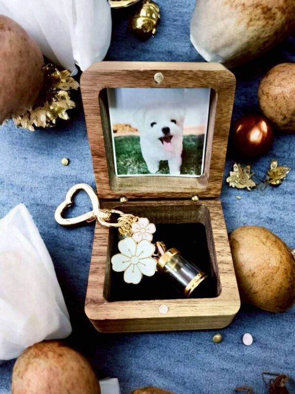 毛寶回憶盒｜骨灰款