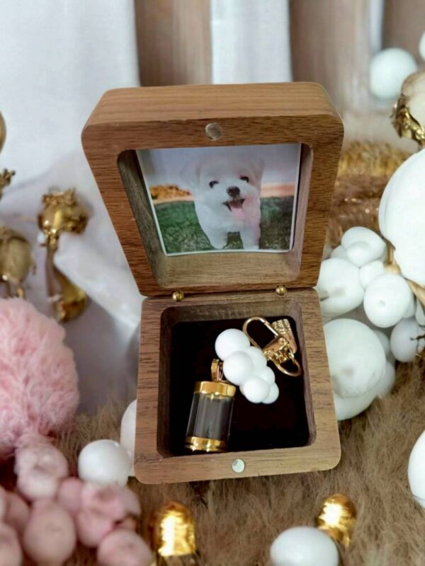 毛寶回憶盒｜骨灰款