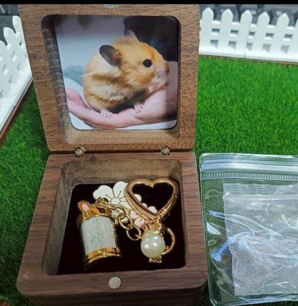 毛寶回憶盒｜骨灰款