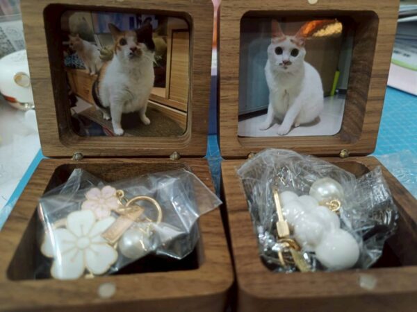 毛寶回憶盒｜骨灰款