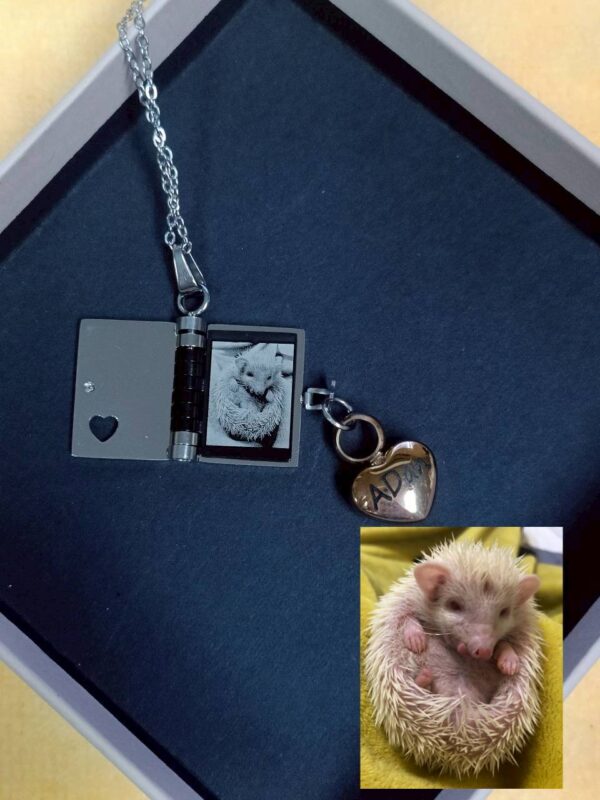 天使的日記_12 雷雕飾品 - 天使日記