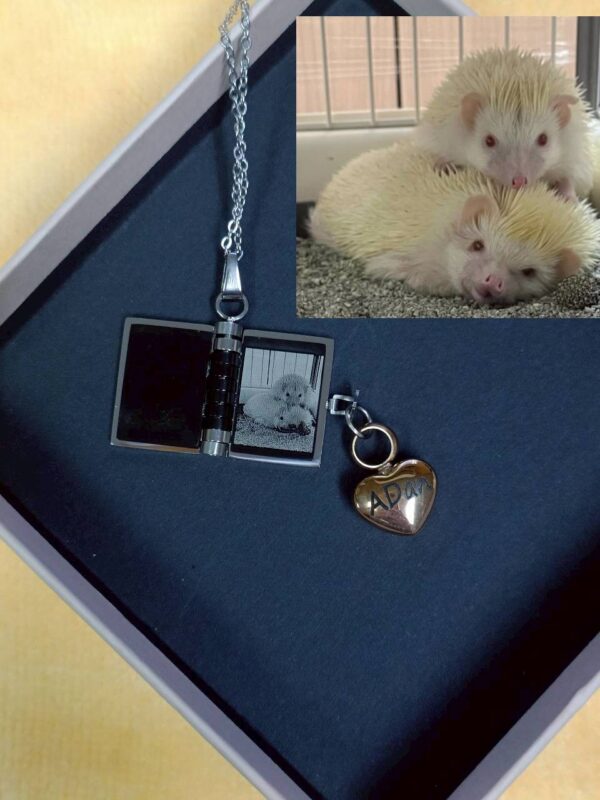 天使的日記_13 雷雕飾品 - 天使日記