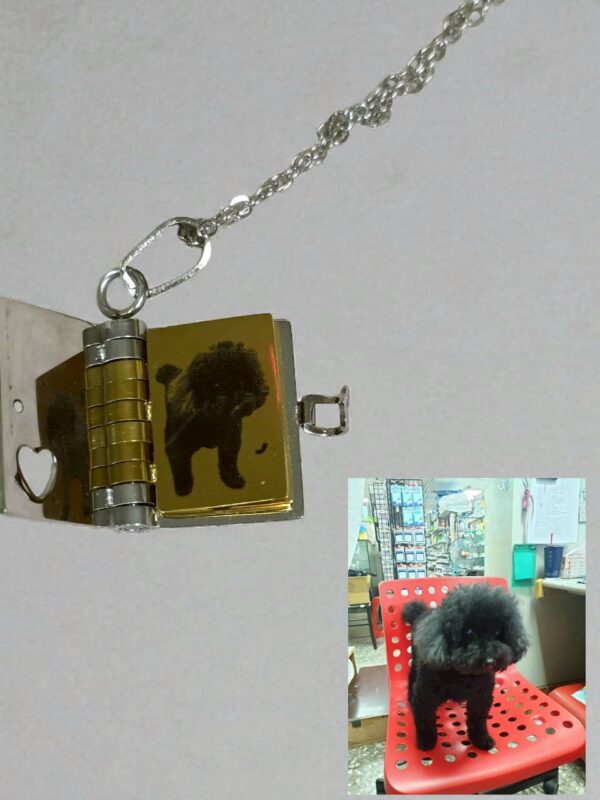 天使的日記_15 雷雕飾品 - 天使日記