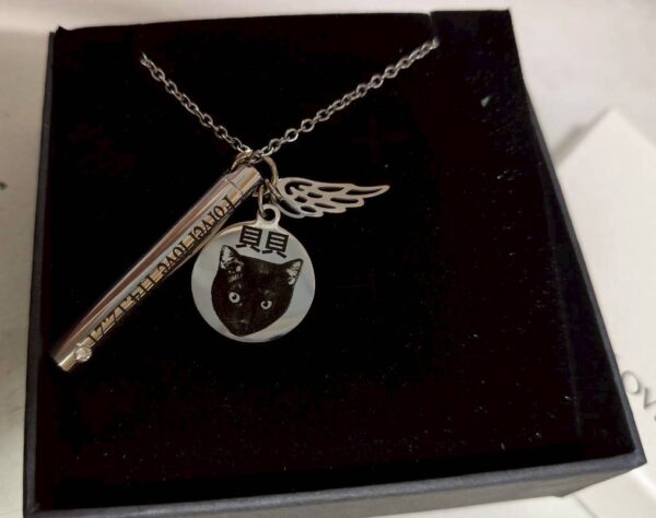 6 天使之翼骨灰罐項鍊