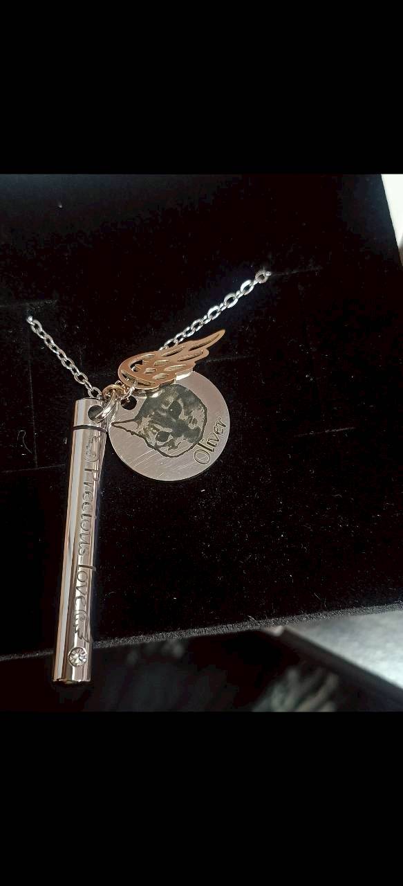 8 天使之翼骨灰罐項鍊