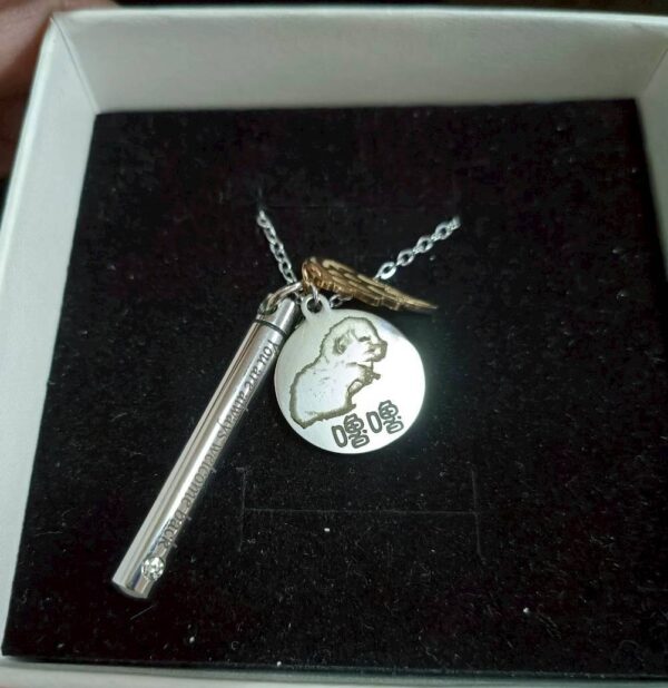 9 天使之翼骨灰罐項鍊